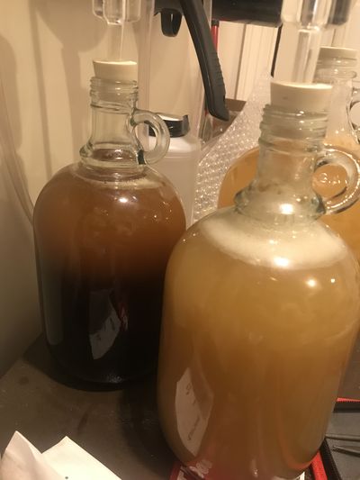 Mead Experiments